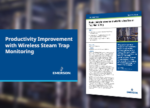 Food and Beverage Manufacturer - Productivity Improvement with Wireless Steam Trap Monitoring