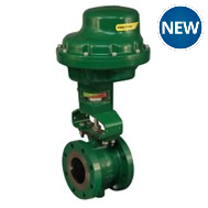 Rotary Electric Actuator