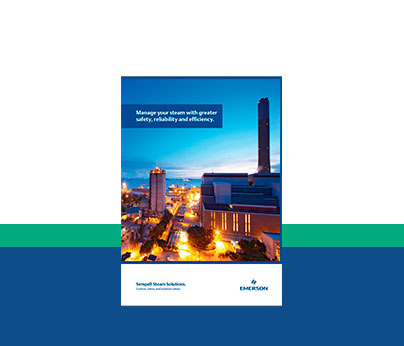 Sempell™ Steam Solutions