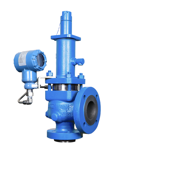 Direct Spring Pressure Relief Valve with Bellows Leak Detection