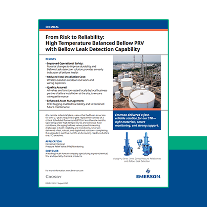 High-Temperature Balanced Bellow PRV with Leak Detection