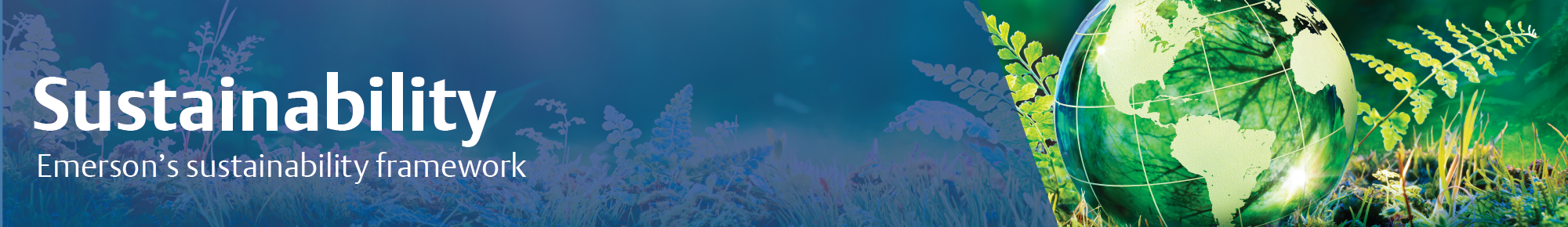 Emerson's Sustainability Framework