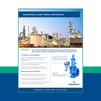 Flier: Crosby™ Bellows Leak Detection