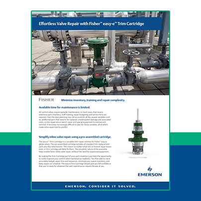 Flyer: Effortless Valve Repair with Fisher™ easy-e™ Trim Cartridge